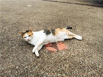 《战地2042》发售时将不支持游戏内语音