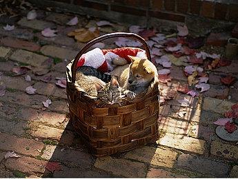 《循环勇者》4月30日登陆手机端 Steam获特别好评